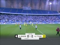 ɳ�������� ���ŵ�������vs�������� (�����) 20231103