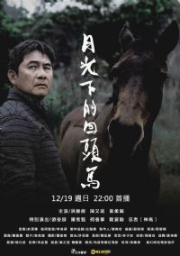 �¹��µĻ�ͷ��