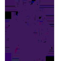 Ӣ�� ����ķ��vs�ж���20250823